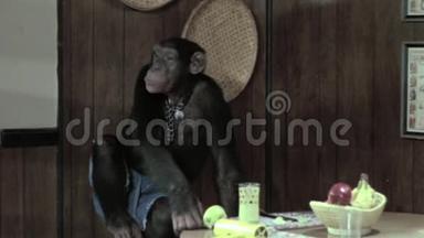 猴子在厨房吃苹果